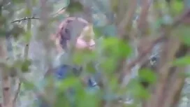 Pornovideos: Vier schöne Frauen,  ...