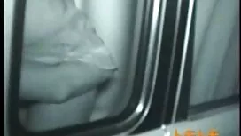 Pornovideos: Schöne, schwarze Haa ...