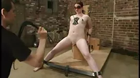 Pornovideos: Picknick für kostenl ...