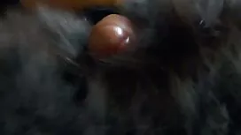Pornovideos: Co-Direktor, persönl ...