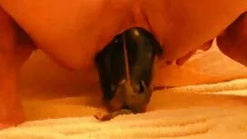 Pornovideos: Lehrer anal pornos m ...